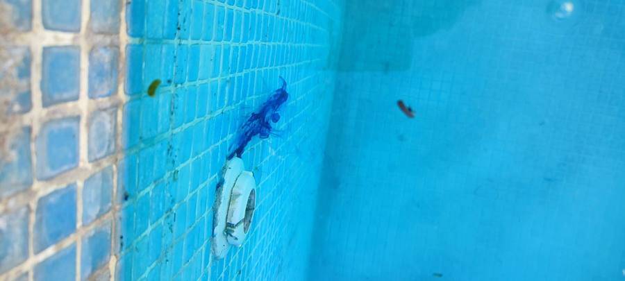 Test au colorant sous l'eau près d'une buse de refoulement